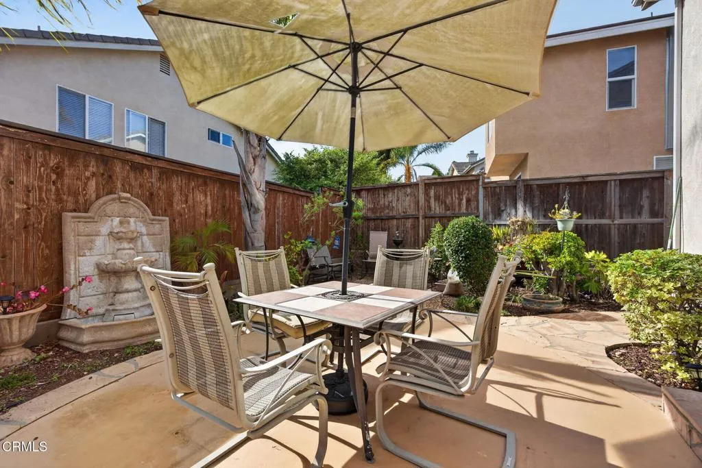 Backyard 2 641