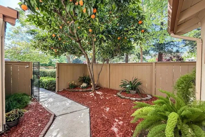1241 Beaulieu Court, San Jose, California 95125