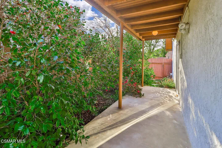 lBackyard1