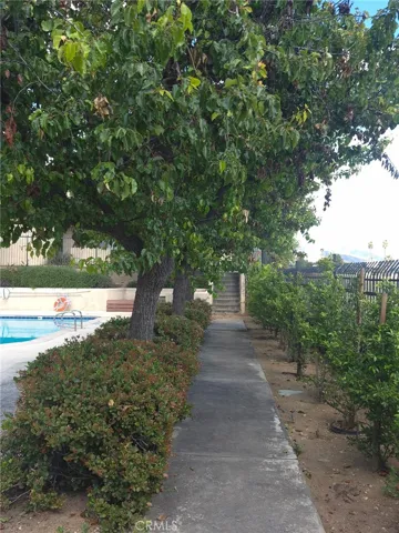 GROUNDS