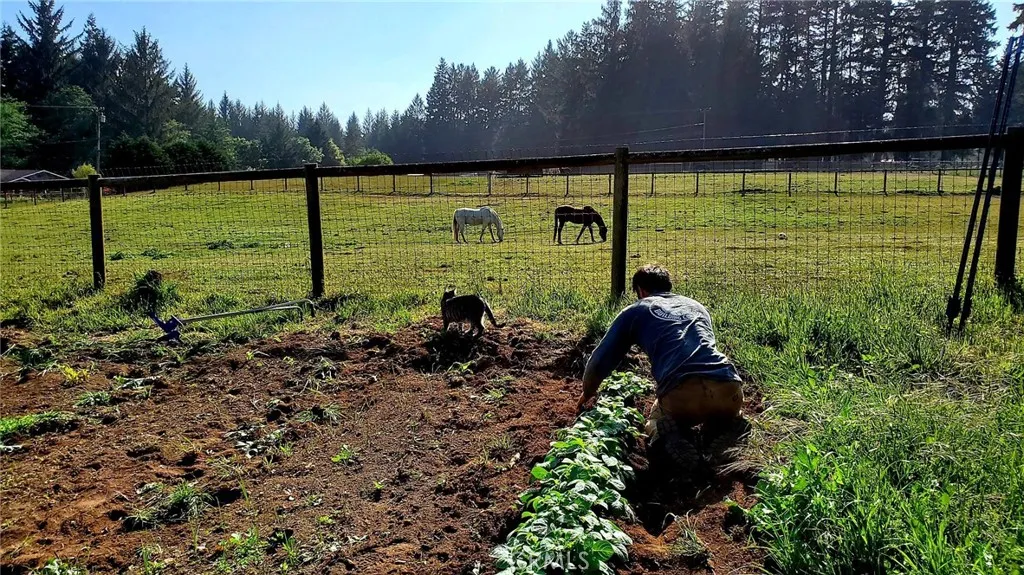 gardening by the tiny house