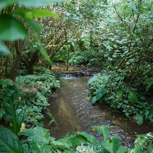 year round creek