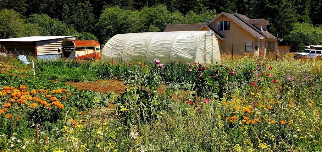 garden by tiny home