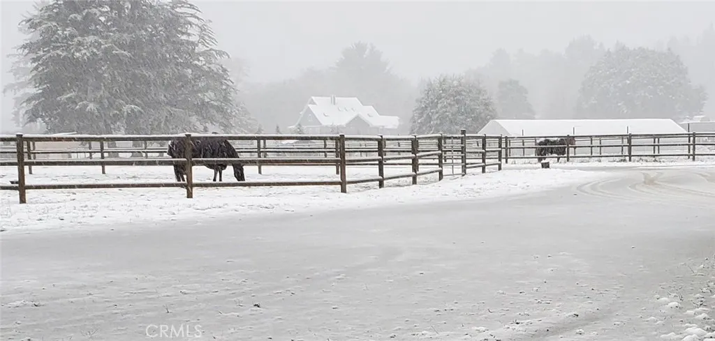 it snowed one year