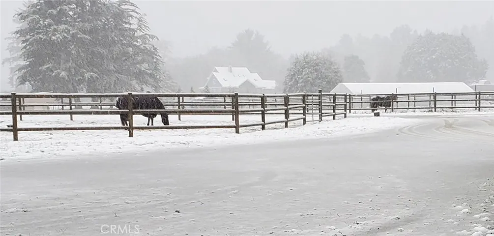 it snowed one year