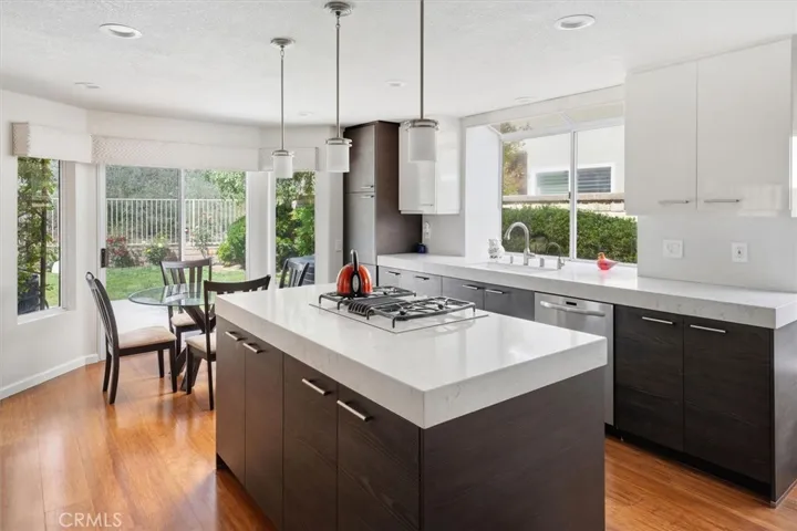 Gorgeous Gourmet Kitchen
