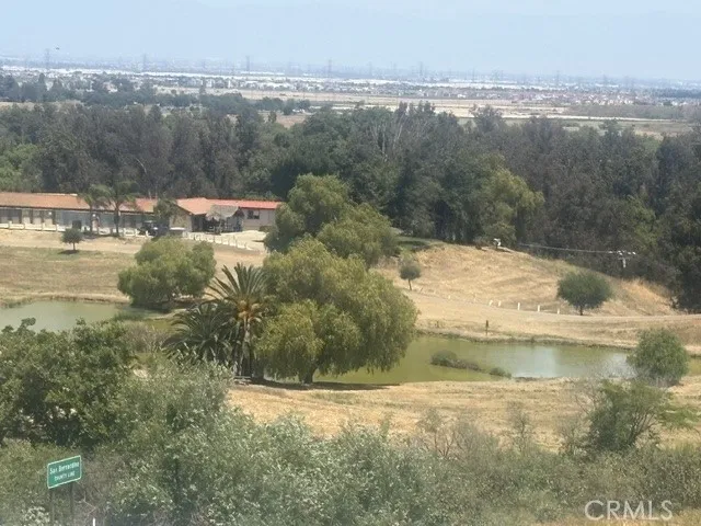 view from backyard