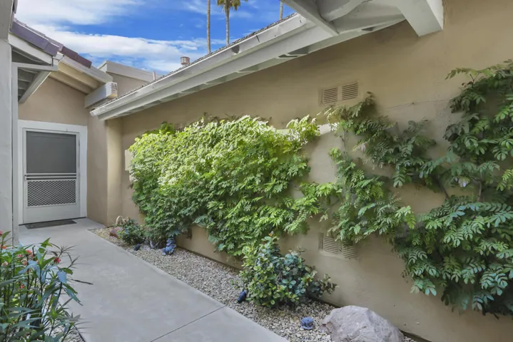 BouquetCanyon293#3