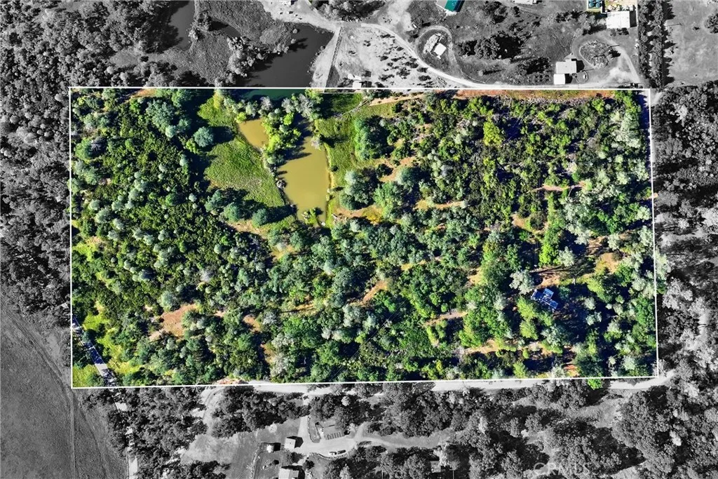 surrounding land