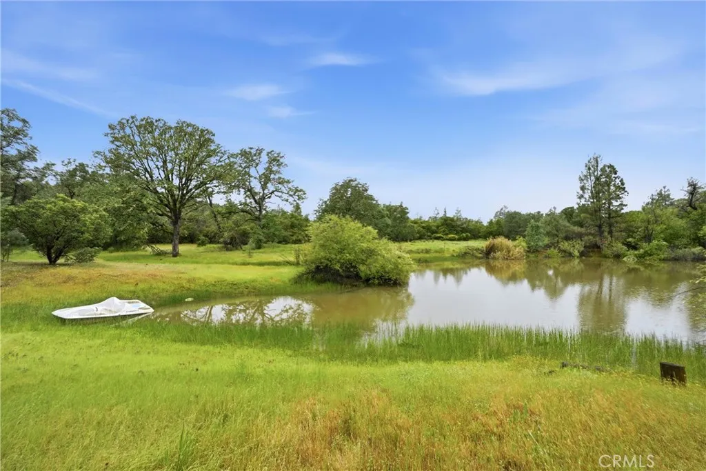 The pond, many choices to build a home or create your campsite