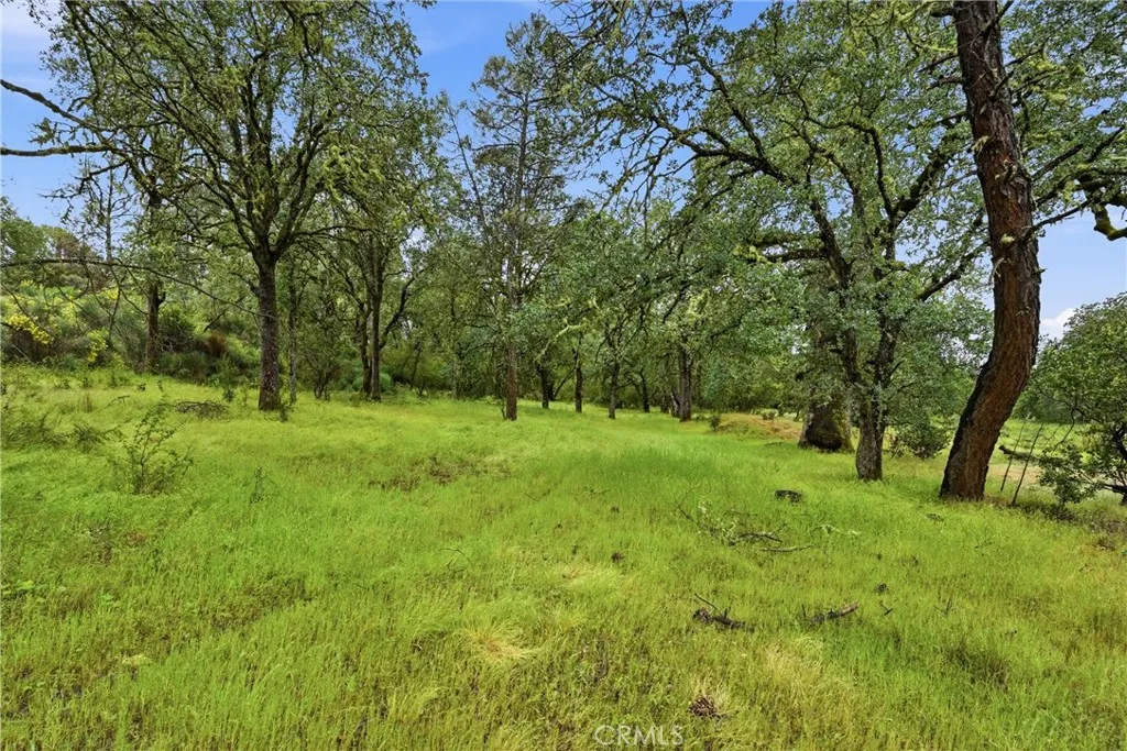 Welcome to this peaceful acreage, with well and septic and a lovely pond.