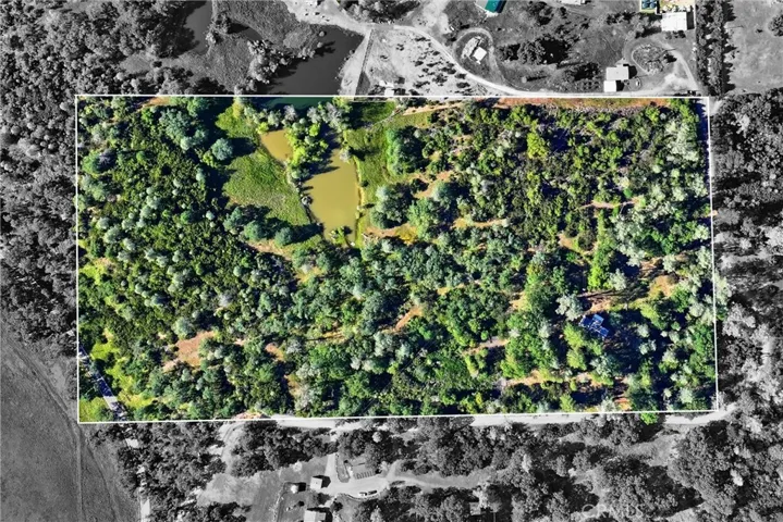 surrounding land