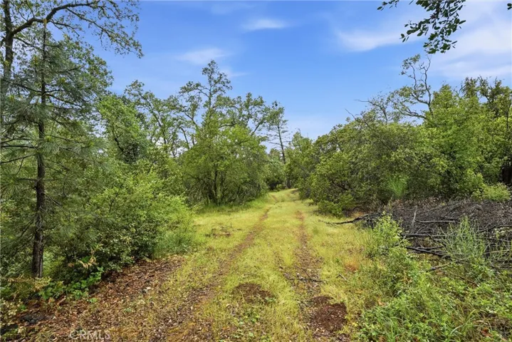 The road before you takes you on a beautiful walk through the property, to the ponds, and eventually to the second gate of the property on Spruce Grove Road