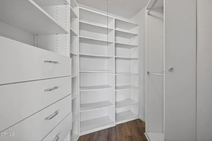Guest closet with built ins
