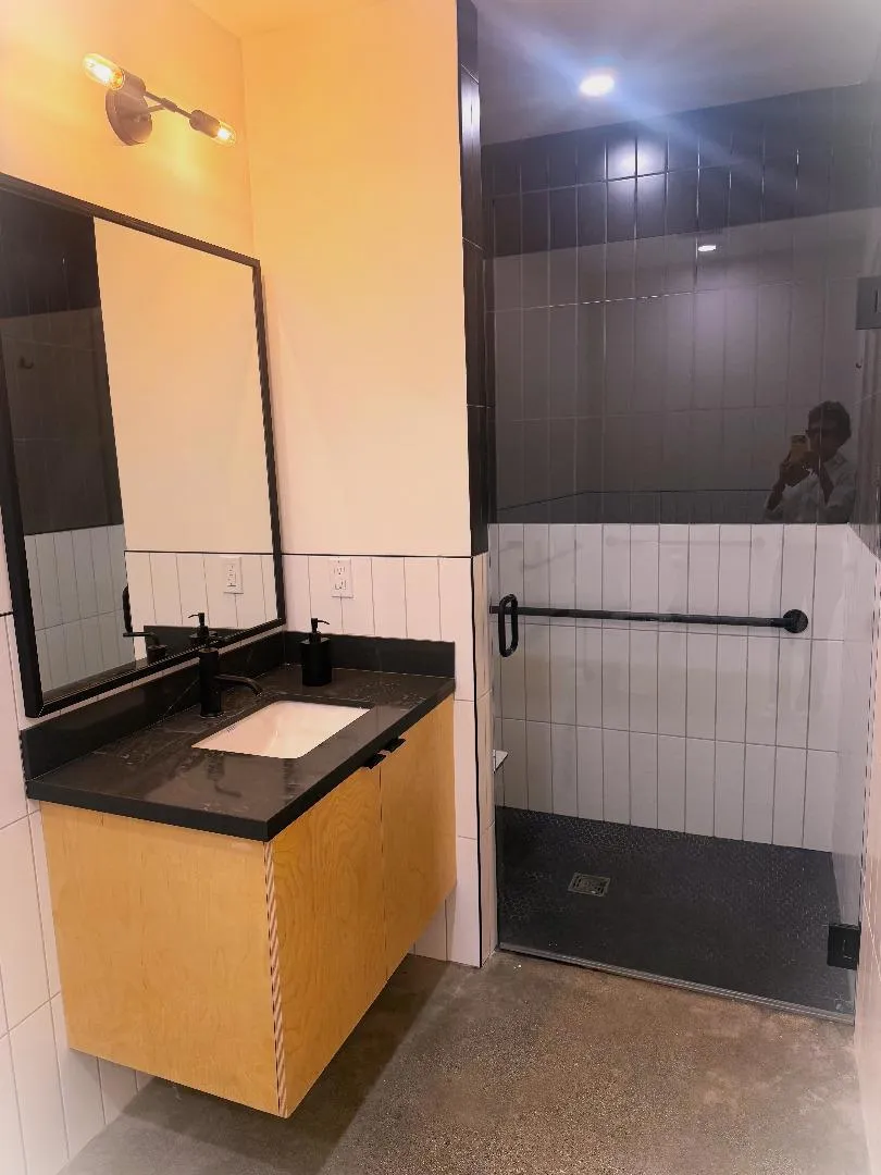 Downstairs bathroom and walk-in shower