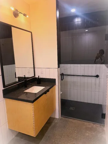 Downstairs bathroom and walk-in shower