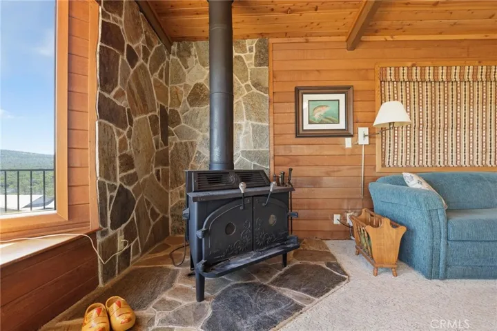 Wood Stove