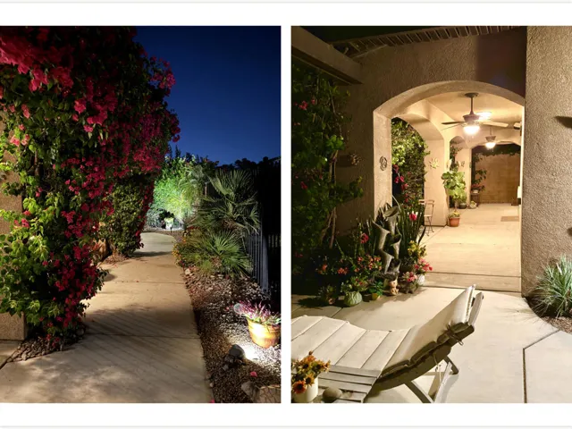 040 Backyard (00002)
