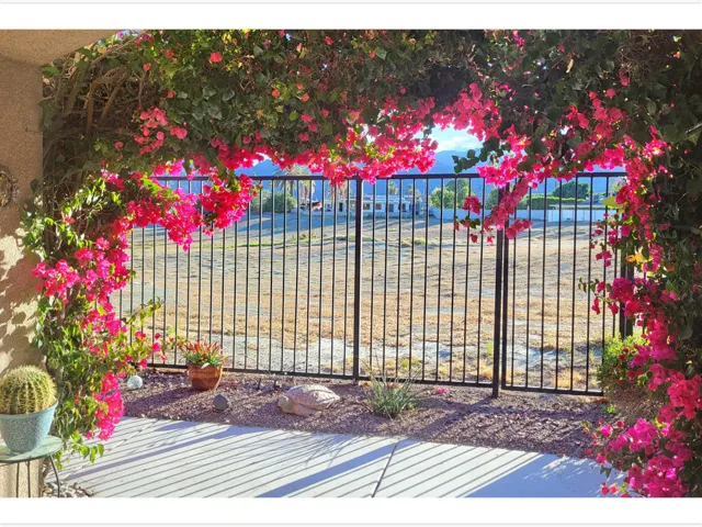 035 Backyard (00002)