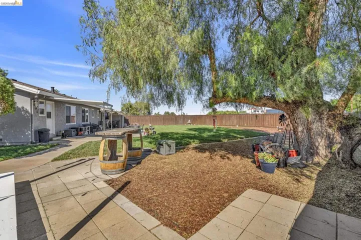 Expansive backyard featuring a large mature tree, a paved patio area, and a grassy lawn