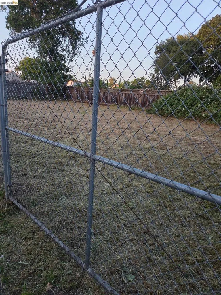 Chain-link fence enclosing an outdoor space with a natural ground cover and surrounding wood fencing