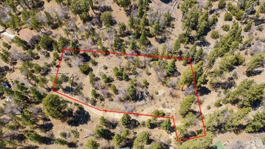 01-DJI_20250422133404_0591_D