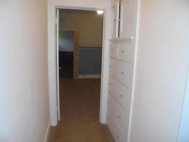 DSC07983