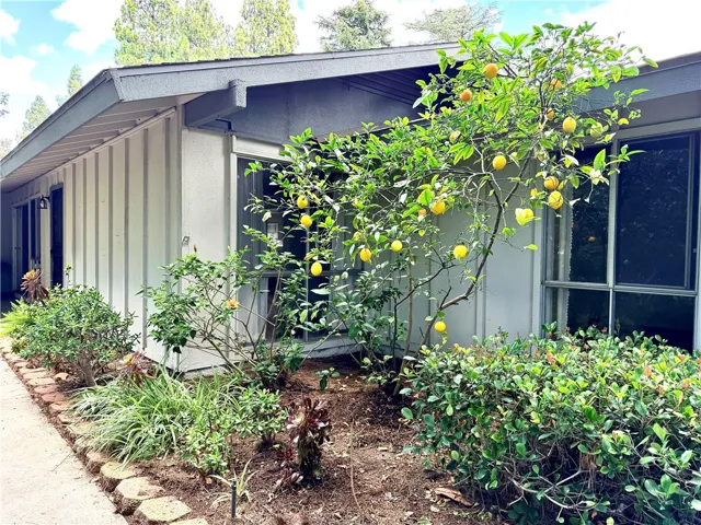 Private Walkway