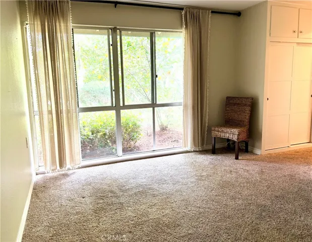 Big Windows to Let the Light In