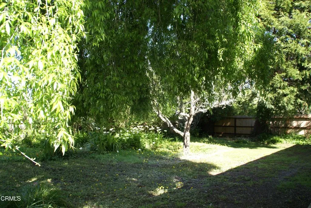 DSC03227