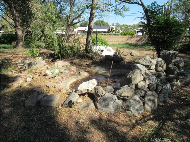 Large back yard.