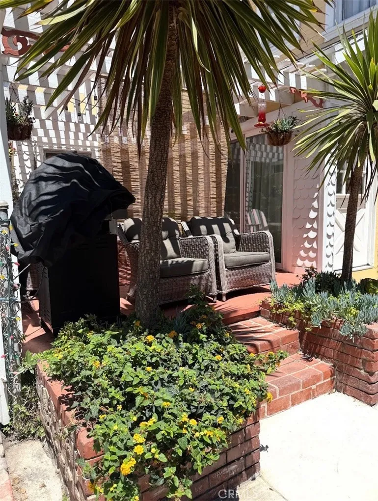 Shared downstairs Patio Shared downstairs Patio