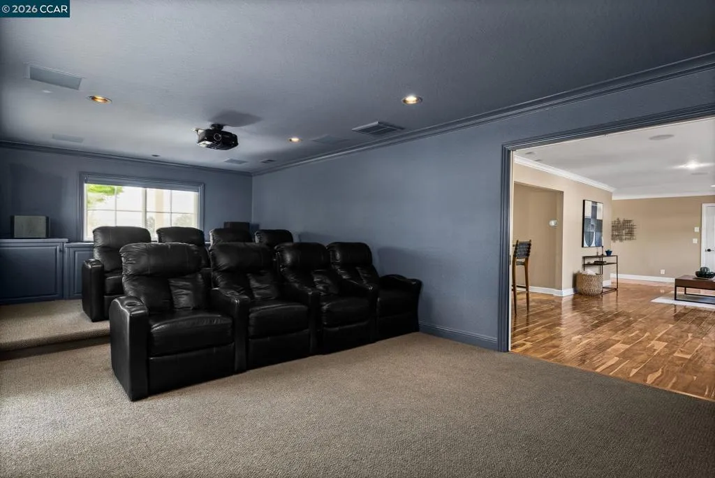 ADU Movie Room