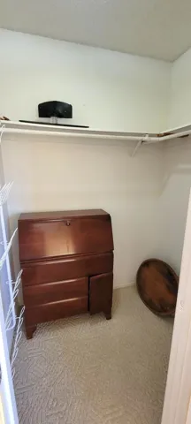 Guest room 2 walk in closet