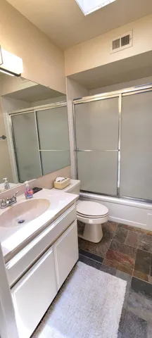 Guest Bath with skylight
