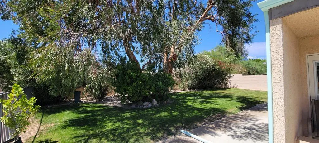 Large landscaped backyard