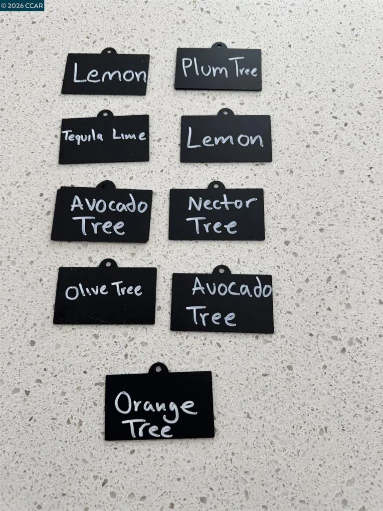 fruit trees in backyard
