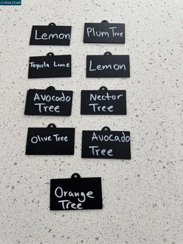 fruit trees in backyard