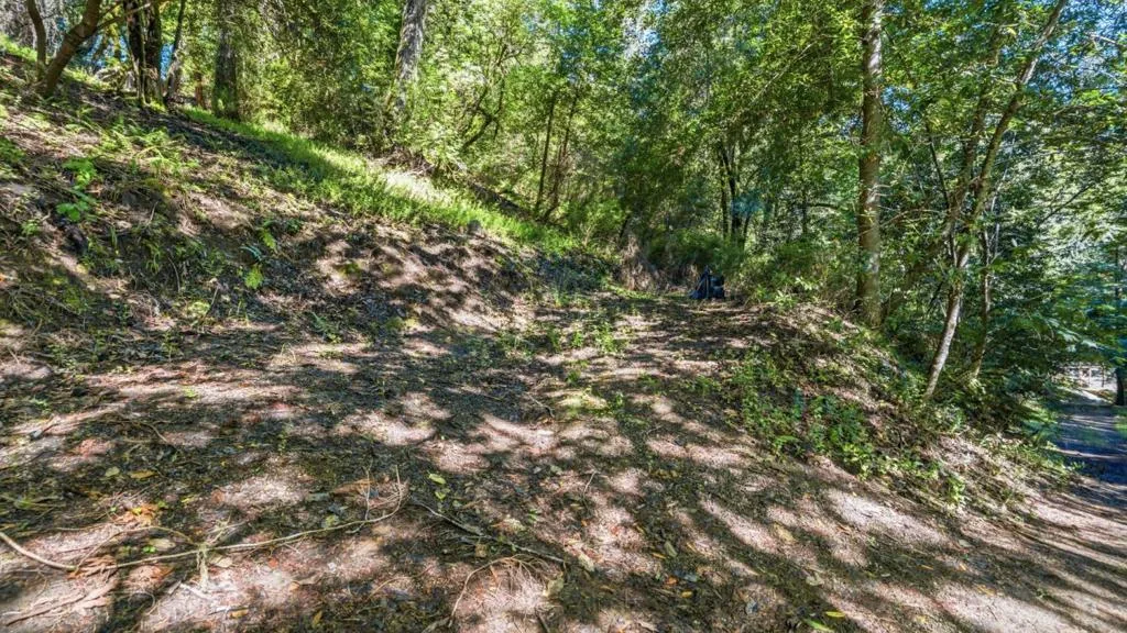 360 Rincon Way, Boulder Creek, California 95006 — photo 5