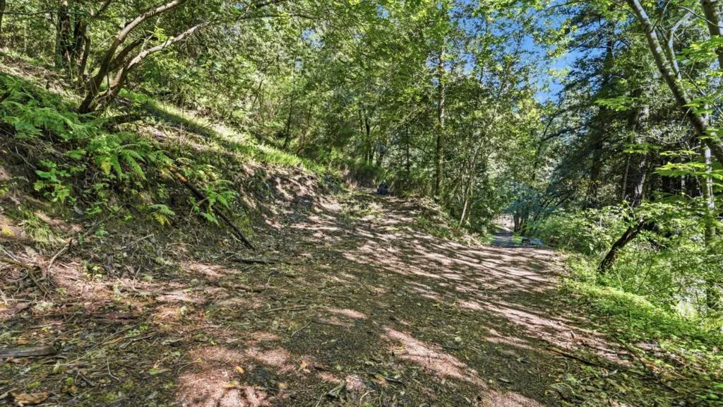 360 Rincon Way, Boulder Creek, California 95006 — photo 4