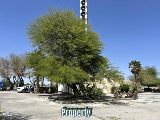 Back area of property