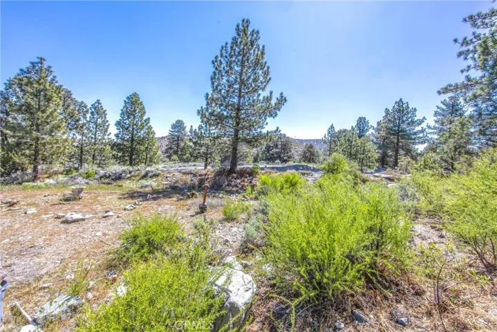 2164 Outer Hwy 2 Highway S, Wrightwood, California 92397