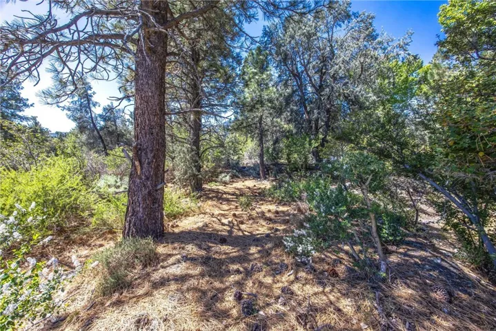 2164 Outer Hwy 2 Highway S, Wrightwood, California 92397