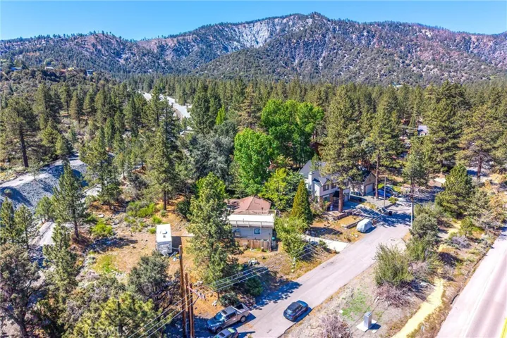 2164 Outer Hwy 2 Highway S, Wrightwood, California 92397