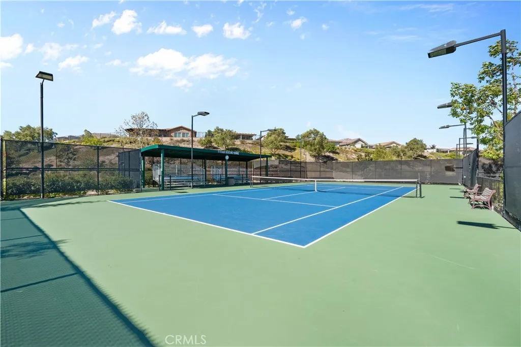 The Courts