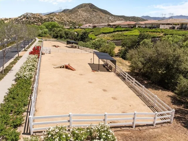 Dog Park