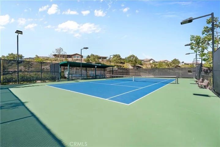 The Courts