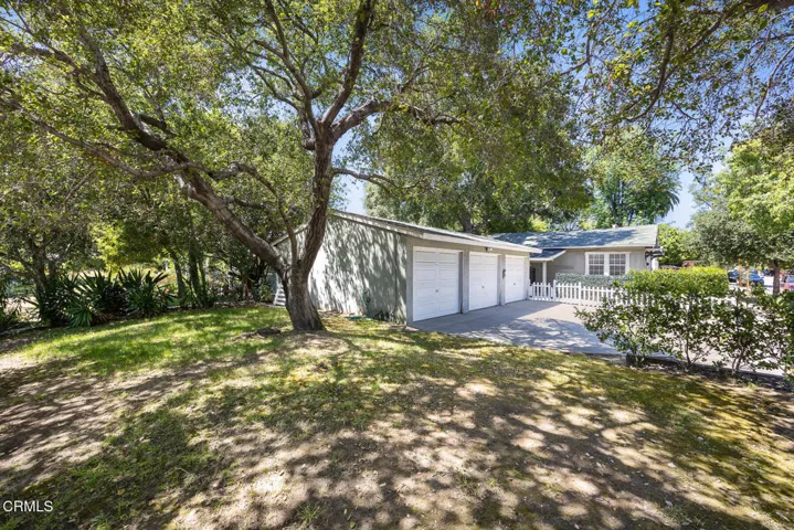 Side Yard