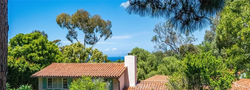 View from the house