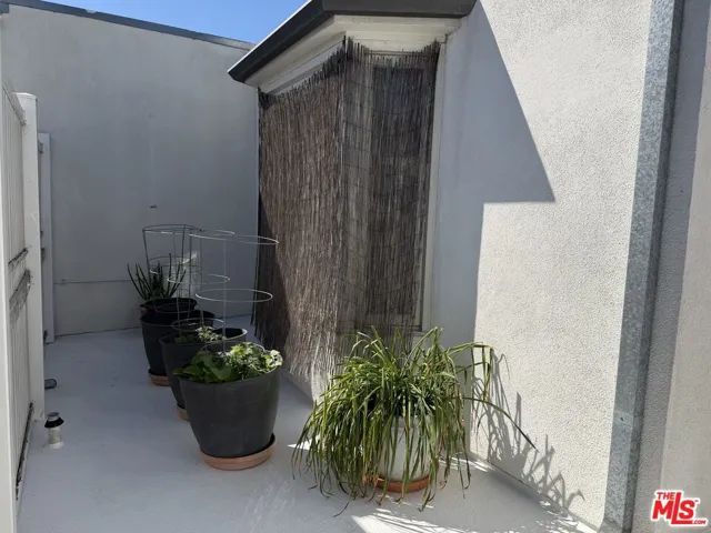 Garden Sundeck Area